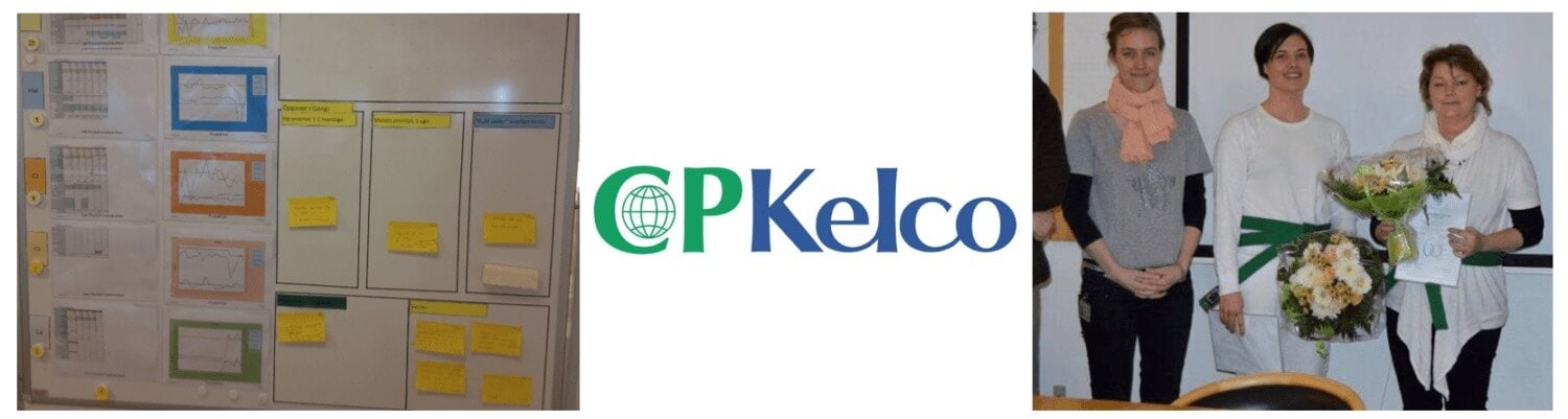 CP Kelco & Six Sigma